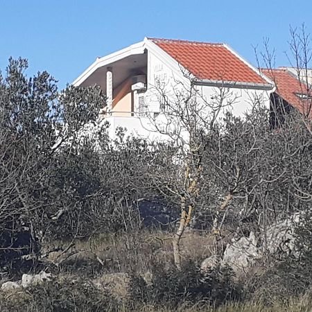 Villa Palfi Єзера Екстер'єр фото